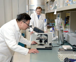 Chen and Terek at work in their Providence lab. / PBN PHOTO/MIKE SKORSKI 