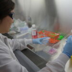 URI adds undergraduate degree in interdisciplinary neuroscience