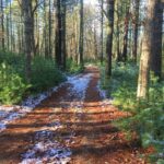 THE DEM HAS AWARDED $3.3 million in open space grants to preserve 904 acres in the state. Above, South Kingstown Land Trust Property on Yawgoo Pond. / COURTESY R.I. DEPARTMENT OF ENVIRONMENTAL MANAGEMENT
