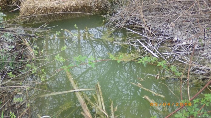 DEM INSPECTORS found water containing silt and sediment was illegally discharged from Hopkins Hill Sand & Stone into surrounding wetlands. / COURTESY R.I. DEPARTMENT OF ENVIRONMENTAL MANAGEMENT