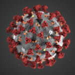 THE R.I. DEPARTMENT of Health is working with a team from the U.S. Centers for Disease Control and Prevention on coronavirus testing and prevention measures. Above, an illustration provided by the Centers for Disease Control and Prevention showing the 2019 Novel Coronavirus. / AP FILE PHOTO/ CENTERS FOR DISEASE CONTROL AND PREVENTION