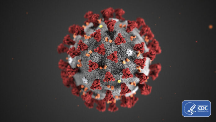 THE R.I. DEPARTMENT of Health is working with a team from the U.S. Centers for Disease Control and Prevention on coronavirus testing and prevention measures. Above, an illustration provided by the Centers for Disease Control and Prevention showing the 2019 Novel Coronavirus. / AP FILE PHOTO/ CENTERS FOR DISEASE CONTROL AND PREVENTION