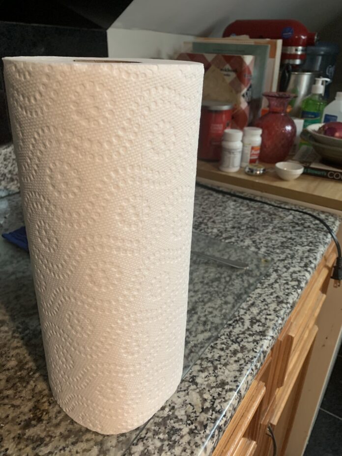 STATE AND LOCAL officials are telling Rhode Islanders not to flush paper towels and flushable wipes down the toilet because they will cause blockages. / PBN PHOTO MARY MACDONALD