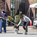 PET ESCORT: Ocean State Veterinary Specialists in East Greenwich has set up a triage tent in the parking lot where people can hand off their animals during the coronavirus pandemic. Banjo, a 12-year-old border collie belonging to Lorie Pavo, right, of Warren, is escorted into the facility by vet tech Brook Simmons. / PBN PHOTO/MICHAEL SALERNO