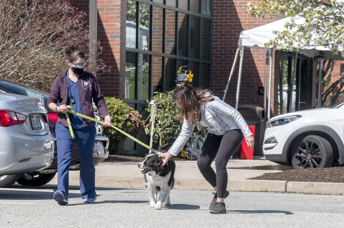 PET ESCORT: Ocean State Veterinary Specialists in East Greenwich has set up a triage tent in the parking lot where people can hand off their animals during the coronavirus pandemic. Banjo, a 12-year-old border collie belonging to Lorie Pavo, right, of Warren, is escorted into the facility by vet tech Brook Simmons. / PBN PHOTO/MICHAEL SALERNO