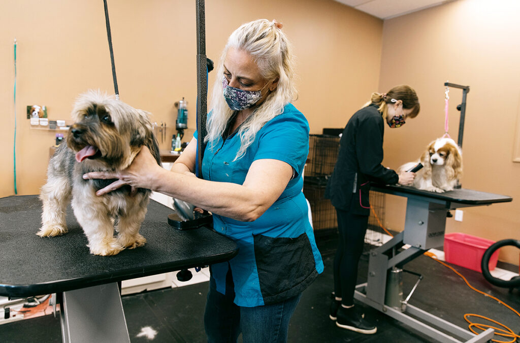 INUNDATED: Canine Corner Inc. co-owners Lisa Goulart, left, and Barbara Gariepy groom dogs at their Seekonk pet-grooming service, which was allowed to open on May 25. Goulart said it took nearly a week for the pair to return the 350 messages left by pet owners after a two-month hiatus. / PBN PHOTO/RUPERT WHITELEY