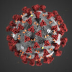 COVID-19 DEATHS in Rhode Island have passed 1,000. / CENTERS FOR DISEASE CONTROL AND PREVENTION VIA THE ASSOCIATED PRESS