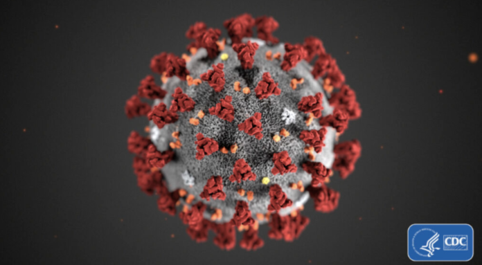 NEW YORK, New Jersey and Connecticut have added Rhode Island residents to travel advisories, which will require them to quarantine for 14 days or prove they received a negative coronavirus test when traveling to the three states. / COURTESY OF THE CENTERS FOR DISEASE CONTROL AND PREVENTION