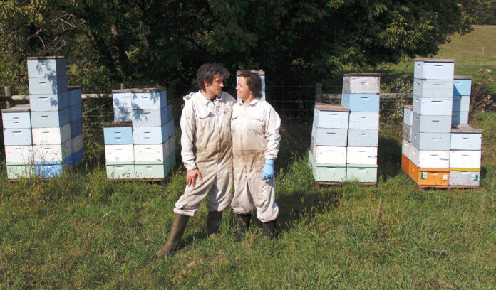 SWEET GIG: Beekeepers James Cook and Samantha Jones stand in front of some of their hives at one of their bee yards near Iola, Wis. The couple has worked with honeybees for several years but started their own business this year. / AP PHOTO/CARRIE ANTLFINGER SWEET GIG: Beekeepers James Cook and Samantha Jones stand in front of some of their hives at one of their bee yards near Iola, Wis. The couple has worked with honeybees for several years but started their own business this year. / AP PHOTO/CARRIE ANTLFINGER