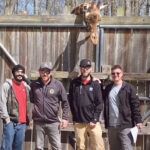 BONDING TIME: Employees from Connectivity Point Design & Installation LLC spend time with a giraffe while working at Roger Williams Park Zoo in Providence. / COURTESY CONNECTIVITY POINT DESIGN & INSTALLATION LLC