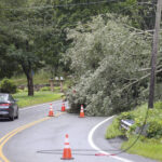 STRONG WINDS from Tropical Storm Henri toppled many trees in the southern areas of the state, such as in South Kingstown, where many individuals remain without power as of Monday morning. / AP FILE PHOTO/STEW MILNE