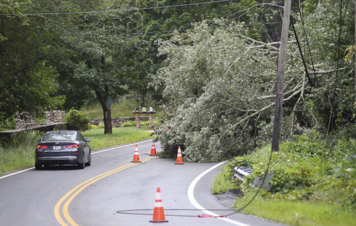 STRONG WINDS from Tropical Storm Henri toppled many trees in the southern areas of the state, such as in South Kingstown, where many individuals remain without power as of Monday morning. / AP FILE PHOTO/STEW MILNE