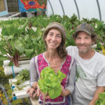 RETURN TO ROOTS: Katherine Fotiades and Mark Phillips own and operate Skydog Farm, a farm store and hydroponic nursery in Scituate that grows herbs and leafy greens. / PBN PHOTO/MICHAEL SALERNO