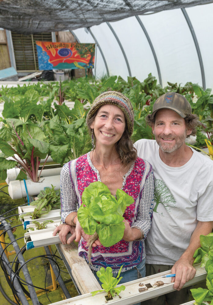 RETURN TO ROOTS: Katherine Fotiades and Mark Phillips own and operate Skydog Farm, a farm store and hydroponic nursery in Scituate that grows herbs and leafy greens. / PBN PHOTO/MICHAEL SALERNO