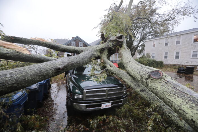 Northeast Storm THOUSANDS IN THE REGION remained without power Thursday, following a coastal storm that slammed the region Wednesday. Above, a large tree fell onto a pickup truck in Fairhaven, Mass., on Wednesday. / PETER PERIERA/THE STANDARD-TIMES VIA AP
