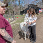 VALUABLE RESOURCE: George Huddleston, president elect of the board of directors of Dare to Dream Ranch, a nonprofit in Foster that offers alternative therapy programs for military veterans and their families, with volunteer Kathy Hassell and Merica, a 3-year-old miniature horse she is training to pull a carriage. / PBN PHOTO/MICHAEL SALERNO 