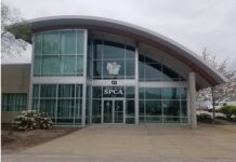 RISPCA plans $2.4M renovation of new Warwick facility