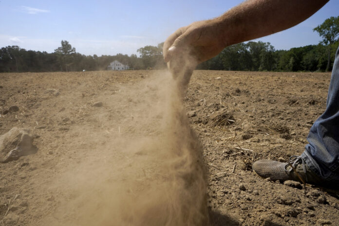 Drought's Silver Lining