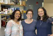 3 URI researchers awarded $735K to study methane gas emissions THREE UNIVERSITY OF RHODE ISLAND researchers, from left, Soni Pradhanang and Dawn Cardace, associate professors of geosciences, and Serena Moseman-Valtierra, an associate professor of biological sciences, were awarded a $735,000 grant by the NASA Established Program to Stimulate Competitive Research to study methane gas emissions. / COURTESY UNIVERSITY OF RHODE ISLAND