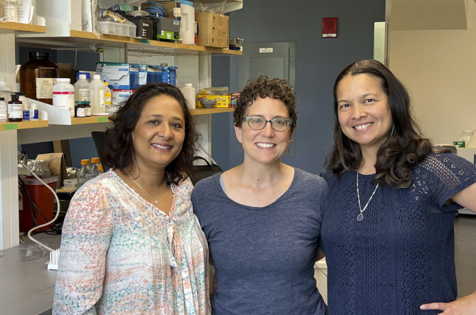 THREE UNIVERSITY OF RHODE ISLAND researchers, from left, Soni Pradhanang and Dawn Cardace, associate professors of geosciences, and Serena Moseman-Valtierra, an associate professor of biological sciences, were awarded a $735,000 grant by the NASA Established Program to Stimulate Competitive Research to study methane gas emissions. / COURTESY UNIVERSITY OF RHODE ISLAND THREE UNIVERSITY OF RHODE ISLAND researchers, from left, Soni Pradhanang and Dawn Cardace, associate professors of geosciences, and Serena Moseman-Valtierra, an associate professor of biological sciences, were awarded a $735,000 grant by the NASA Established Program to Stimulate Competitive Research to study methane gas emissions. / COURTESY UNIVERSITY OF RHODE ISLAND
