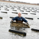 R.I. aquaculture sees ‘banner year’ in 2021