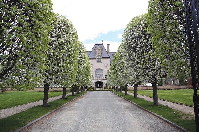 Salve Regina University