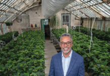 Nonprofits are businesses too Michael L. Pearis became CEO of Providence-based The Groden Network in 2021, after serving as chief operating officer. He has extensive nonprofit and corporate experience, including with the former Fleet Bank, and served as Providence’s finance director from 2012 to 2013. One of the network’s enterprises is the full-service Groden Greenhouse. / PBN PHOTO/MICHAEL SALERNO