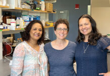 URI associate professors awarded $735K NASA grant to study methane gas emissions READY TO ROCK: Three University of Rhode Island associate professors were awarded a $735,000 grant by the NASA Established Program to Stimulate Competitive Research to study methane gas emissions. They are, from left, Soni Pradhanang, Dawn Cardace and Serena Moseman-Valtierra.
COURTESY UNIVERSITY OF RHODE ISLAND