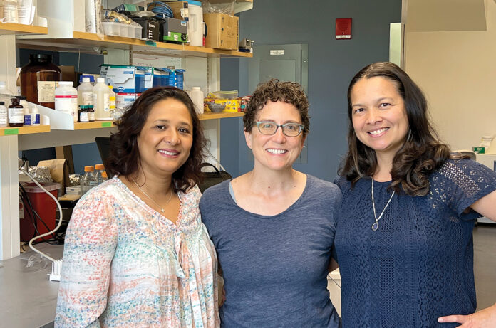 READY TO ROCK: Three University of Rhode Island associate professors were awarded a $735,000 grant by the NASA Established Program to Stimulate Competitive Research to study methane gas emissions. They are, from left, Soni Pradhanang, Dawn Cardace and Serena Moseman-Valtierra.
COURTESY UNIVERSITY OF RHODE ISLAND READY TO ROCK: Three University of Rhode Island associate professors were awarded a $735,000 grant by the NASA Established Program to Stimulate Competitive Research to study methane gas emissions. They are, from left, Soni Pradhanang, Dawn Cardace and Serena Moseman-Valtierra.
COURTESY UNIVERSITY OF RHODE ISLAND