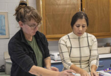 URI entomologist receives $2.6M grant to study Lyme disease bacteria UNIVERSITY OF RHODE ISLAND entomologist Jannelle Couret, right, works with graduate student Samantha Schofield as the sort out tick samples. Couret received a $2.6 million National Institutes of Health grant to stydy the evolution of Lyme disease bacteria in deer ticks. / COURTESY UNIVERSITY OF RHODE ISLAND