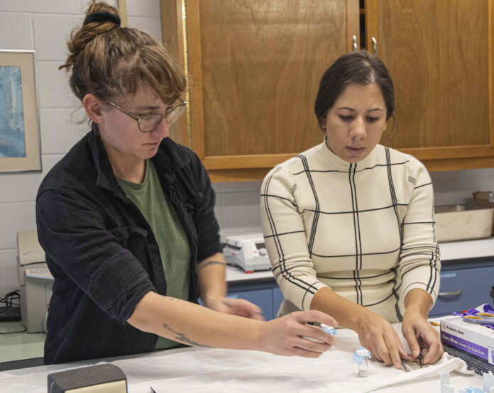 UNIVERSITY OF RHODE ISLAND entomologist Jannelle Couret, right, works with graduate student Samantha Schofield as the sort out tick samples. Couret received a $2.6 million National Institutes of Health grant to stydy the evolution of Lyme disease bacteria in deer ticks. / COURTESY UNIVERSITY OF RHODE ISLAND UNIVERSITY OF RHODE ISLAND entomologist Jannelle Couret, right, works with graduate student Samantha Schofield as the sort out tick samples. Couret received a $2.6 million National Institutes of Health grant to stydy the evolution of Lyme disease bacteria in deer ticks. / COURTESY UNIVERSITY OF RHODE ISLAND