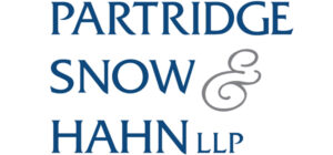 Partner Sponsor