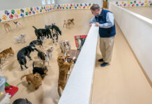Preppin’ for RECESSION. PBN survey: Talk of a coming downturn is taking toll on confidence SEEKING CLIENTS: Robert Wheeler, co-owner of Friends of Toto Inc., a dog day care and grooming business in Pawtucket, spent $400,000 to double his business space to accommodate growing customer demand but now he must find additional customers to cover the construction costs of expansion.
PBN PHOTO/MICHAEL SALERNO
