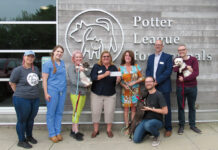 Carey Richmond & Viking Insurance PET PROTECTORS: A group of Carey, Richmond & Viking Insurance employees visit the Potter League for Animals in Middletown.
COURTESY CAREY, RICHMOND & VIKING INSURANCE