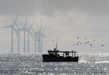 URI, NOAA partnering to study how offshore wind impacts marine life THE UNIVERSITY OF RHODE ISLAND and the U.S. National Oceanic and Atmospheric Administration’s Northeast Fisheries Science Center have signed a five-year partnership agreement to research how offshore wind developments will impact marine life. / COURTESY UNIVERSITY OF RHODE ISLAND