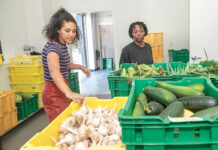 HOMEGROWN: Amelia Lopez, left, Southside Community Land Trust food access associate, and Appoline Alphonsine, a college intern, sort through vegetables harvested by the Providence nonprofit. SCLT recently received an $80,000 grant from the city that was not part of the $10 million racial reparation initiative. Some have complained that the city is moving too slow on deploying the $10 million equities program. PBN PHOTO/MICHAEL SALERNO