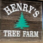 Scituate Christmas tree farm closes after 67 years