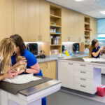 STUDENTS AND FACULTY care for animals inside the New England Institute of Technology's new 11,000-square-foot veterinary technology learning lab inside the East Greenwich campus. / COURTESY HEIDI GUMULA/DBVW ARCHITECTS INC.