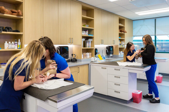 STUDENTS AND FACULTY care for animals inside the New England Institute of Technology's new 11,000-square-foot veterinary technology learning lab inside the East Greenwich campus. / COURTESY HEIDI GUMULA/DBVW ARCHITECTS INC.