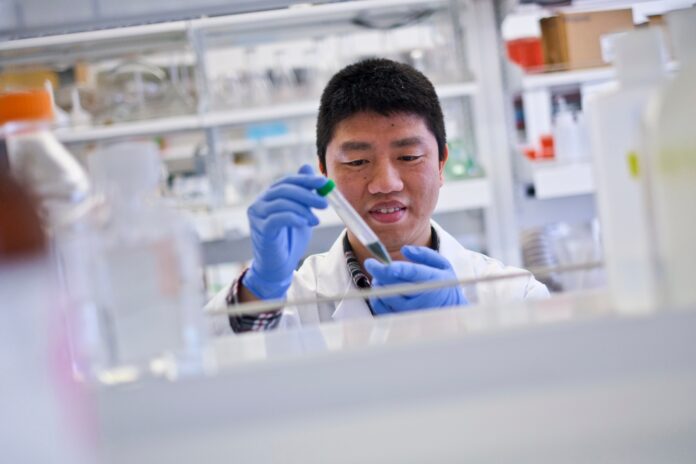 Wei Lu RESEARCHERS AND SCIENTISTS in Rhode Island will receive a $21 million federal grant to strengthen the biomedical workforce pipeline and boost the state’s ability to carry out and expand innovation in the field of biomedical research. / COURTESY UNIVERSITY OF RHODE ISLAND/JOE GIBLIN