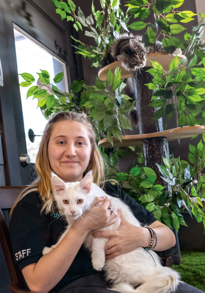 FELINE FRIENDS: Jasmine Demers of Mad Cats and More, a cat lounge in Coventry, holds Zeus, while his sister, Athena, looks down from above.  PBN PHOTO/MICHAEL SALERNO