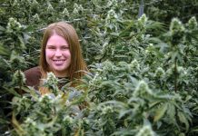 Sasha Gorski helped launch Providence-based Talaria LLC in 2019. She started as a trimmer, grow hand and graphic designer. She is now co-owner, chief operating officer and head of marketing and brand strategy for the cannabis cultivator. / PBN PHOTO/MICHAEL SALERNO