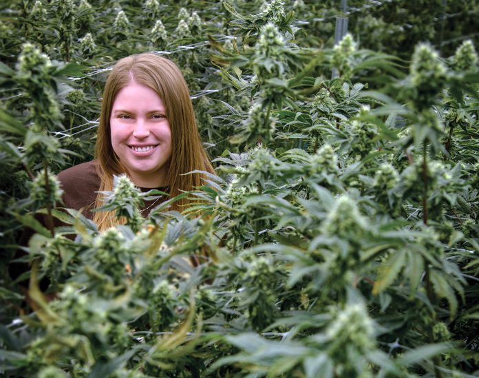 Sasha Gorski helped launch Providence-based Talaria LLC in 2019. She started as a trimmer, grow hand and graphic designer. She is now co-owner, chief operating officer and head of marketing and brand strategy for the cannabis cultivator. / PBN PHOTO/MICHAEL SALERNO Sasha Gorski helped launch Providence-based Talaria LLC in 2019. She started as a trimmer, grow hand and graphic designer. She is now co-owner, chief operating officer and head of marketing and brand strategy for the cannabis cultivator. / PBN PHOTO/MICHAEL SALERNO