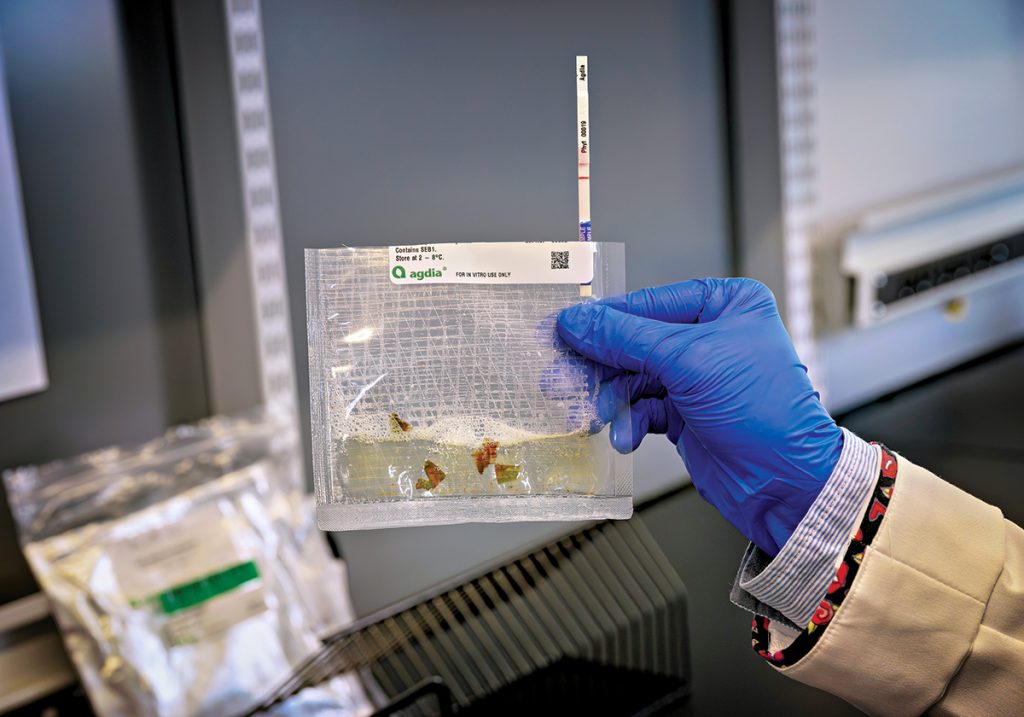 Keiddy Urrea-Morawicki holds a bag of plant samples that are being tested at the Plant Diagnostic Laboratory at the University of Rhode Island in South Kingstown.
PBN PHOTO/MICHAEL SALERNO
