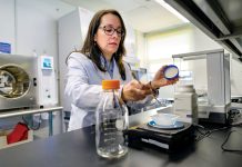 PLANT PROGNOSIS: Keiddy Urrea-Morawicki, director of the Plant Diagnostic Laboratory at the University of Rhode Island in South Kingstown, works in the lab. PBN PHOTO/MICHAEL SALERNO