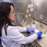 PLANT PROGNOSIS: Keiddy Urrea-Morawicki, director of the Plant Diagnostic Laboratory at the University of Rhode Island in South Kingstown, works in the lab. PBN PHOTO/MICHAEL SALERNO
