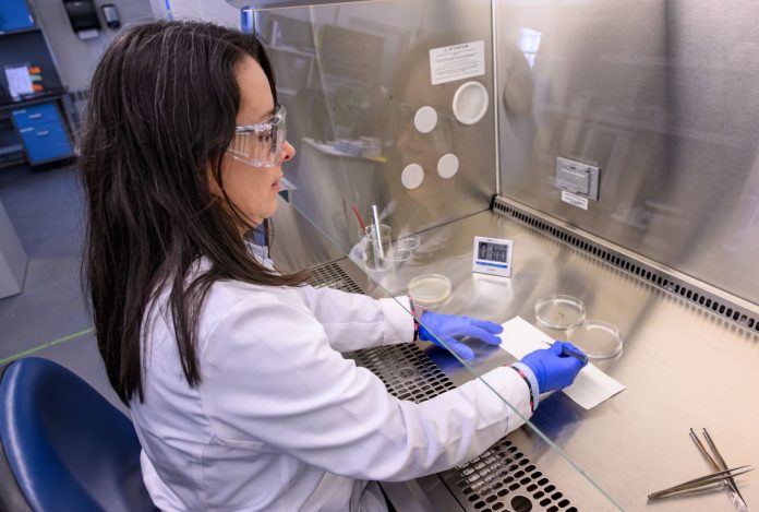 PLANT PROGNOSIS: Keiddy Urrea-Morawicki, director of the Plant Diagnostic Laboratory at the University of Rhode Island in South Kingstown, works in the lab. PBN PHOTO/MICHAEL SALERNO