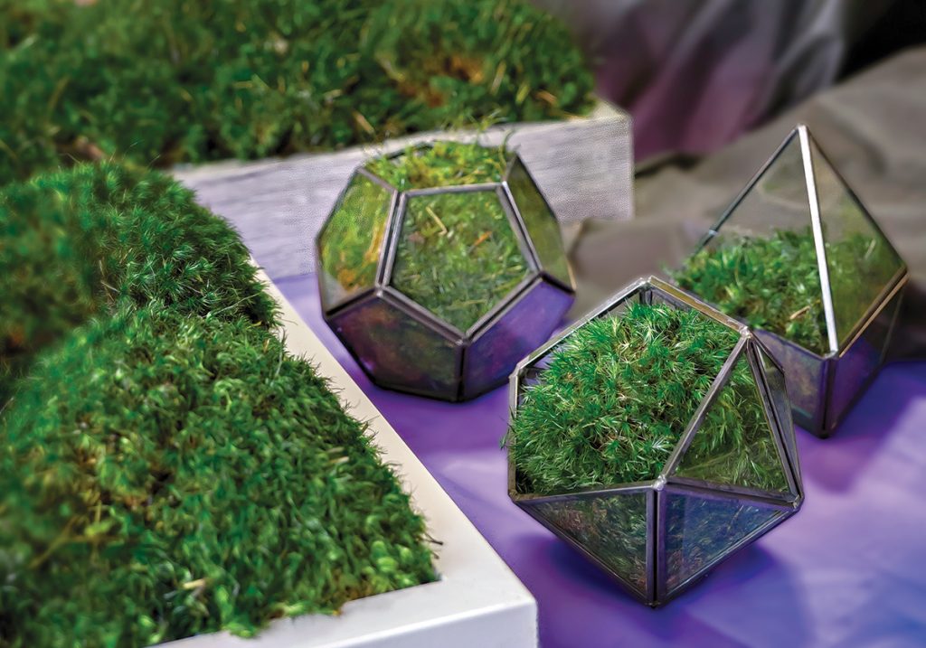 FAST FILTRATION: Moss Pure products can cleanse the air in minutes, effectively removing dust, allergens, airborne viruses and toxins. PBN PHOTO/MICHAEL SALERNO