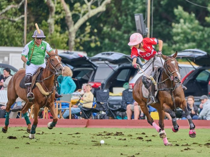 Newport Polo