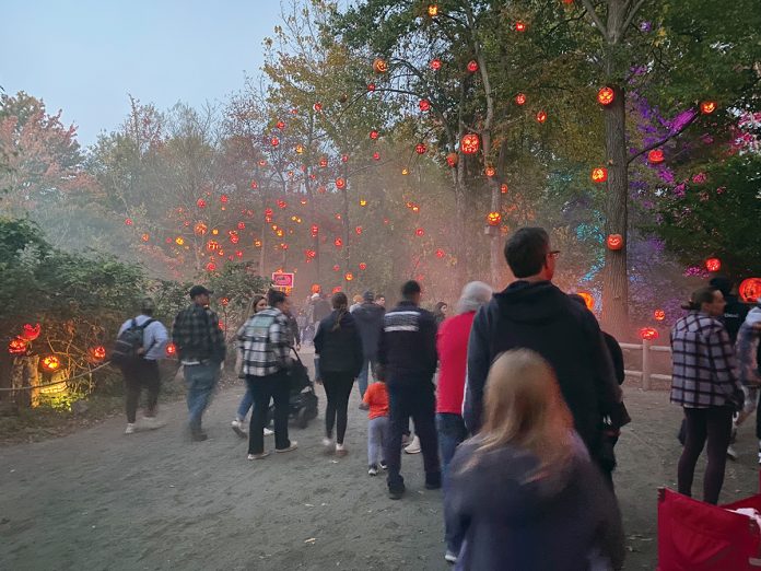 PUMPKIN SPICE: Employees of Envision Technology Advisors LLC visit the Jack O’Lantern Spectacular at Roger Williams Park Zoo in Providence.  COURTESY ENVISION TECHNOLOGY ADVISORS LLC